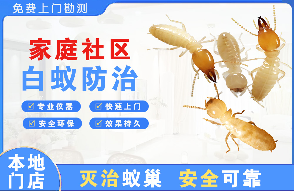 湾里家庭社区白蚁防治