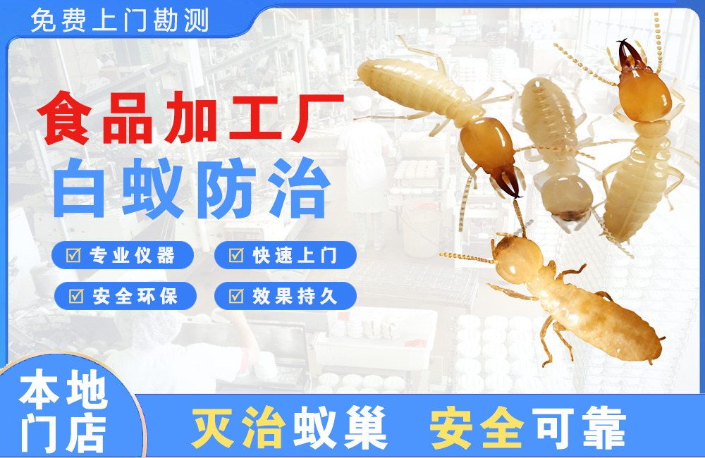湾里食品加工厂白蚁防治