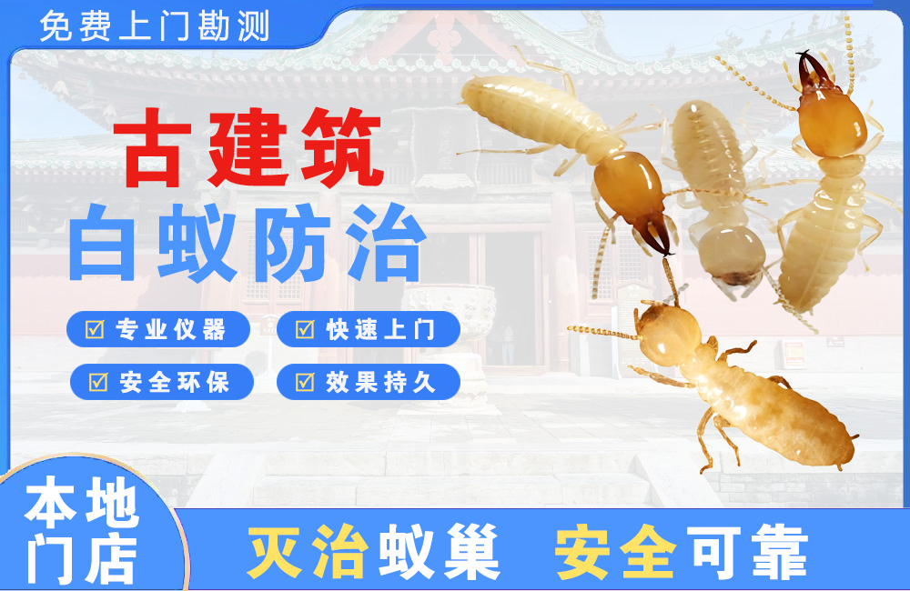 湾里古建筑白蚁防治