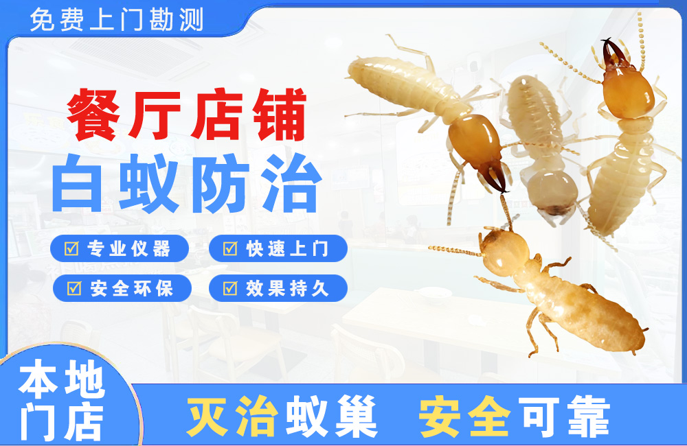 湾里餐厅店铺白蚁防治